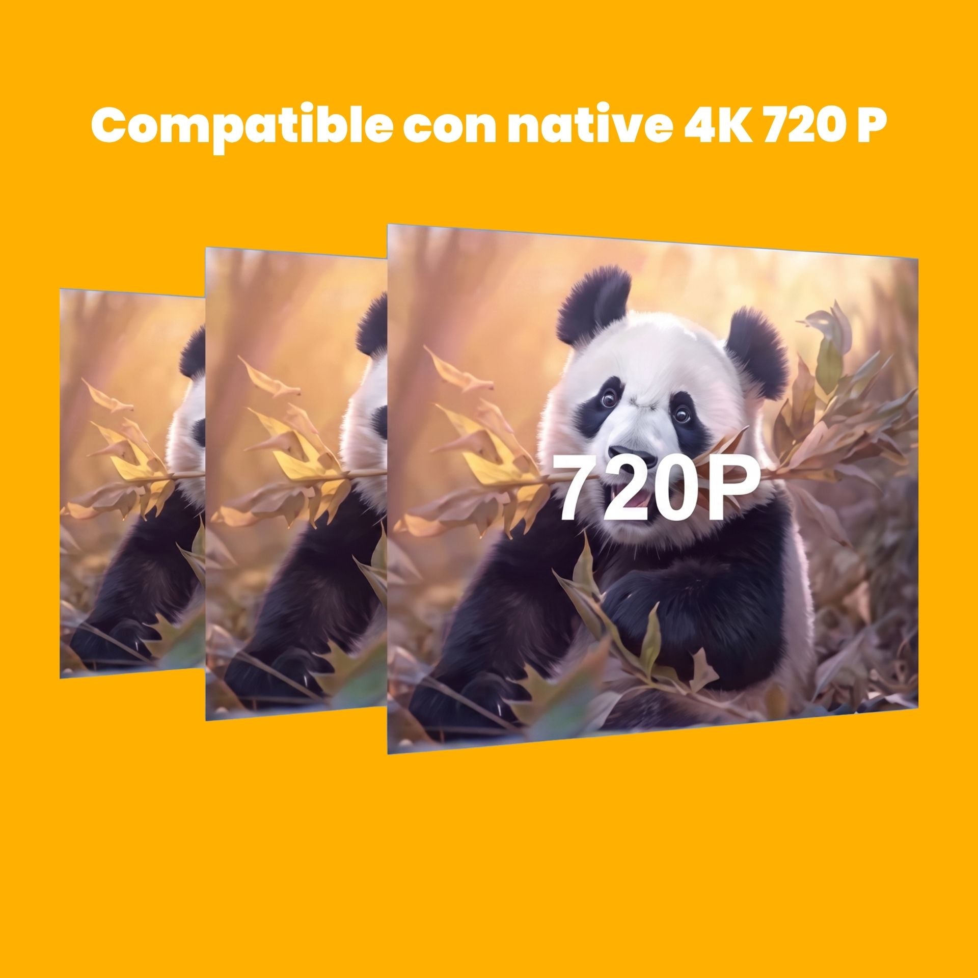 Imagen del proyector